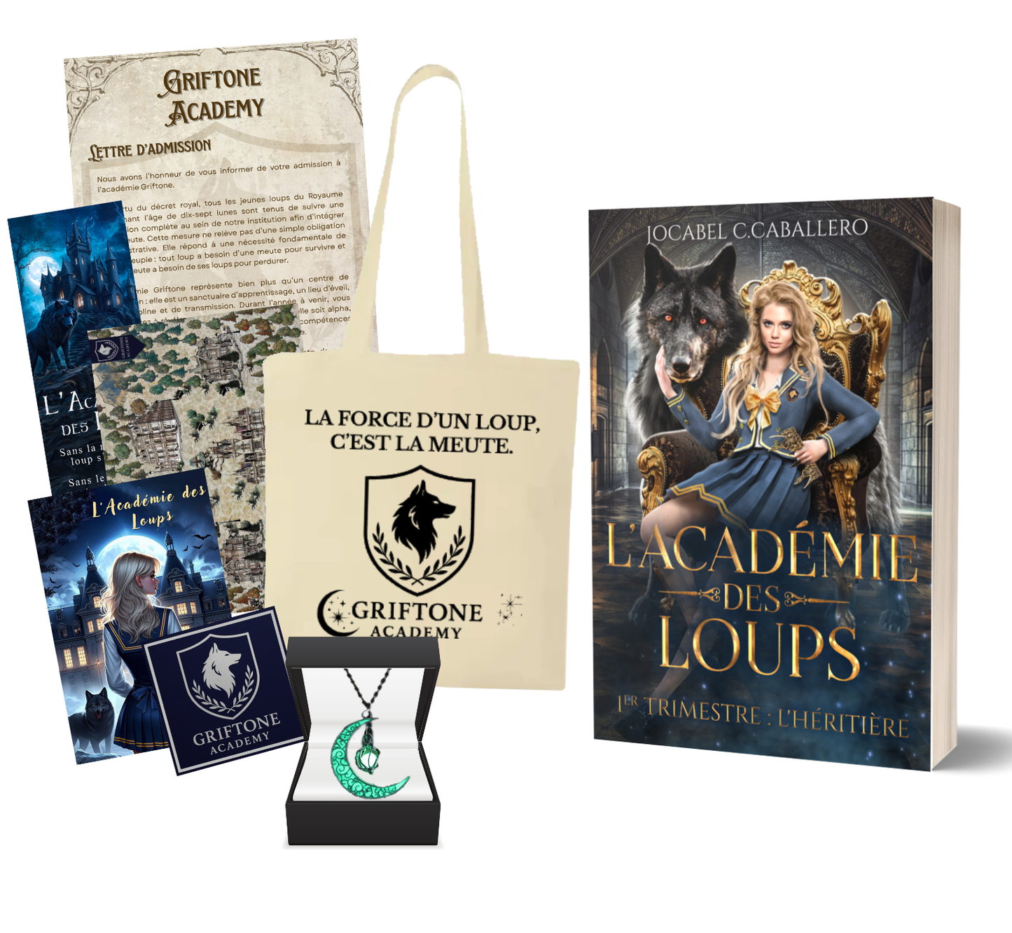Box Bêta - L'Académie des Loups T1 (Broché)