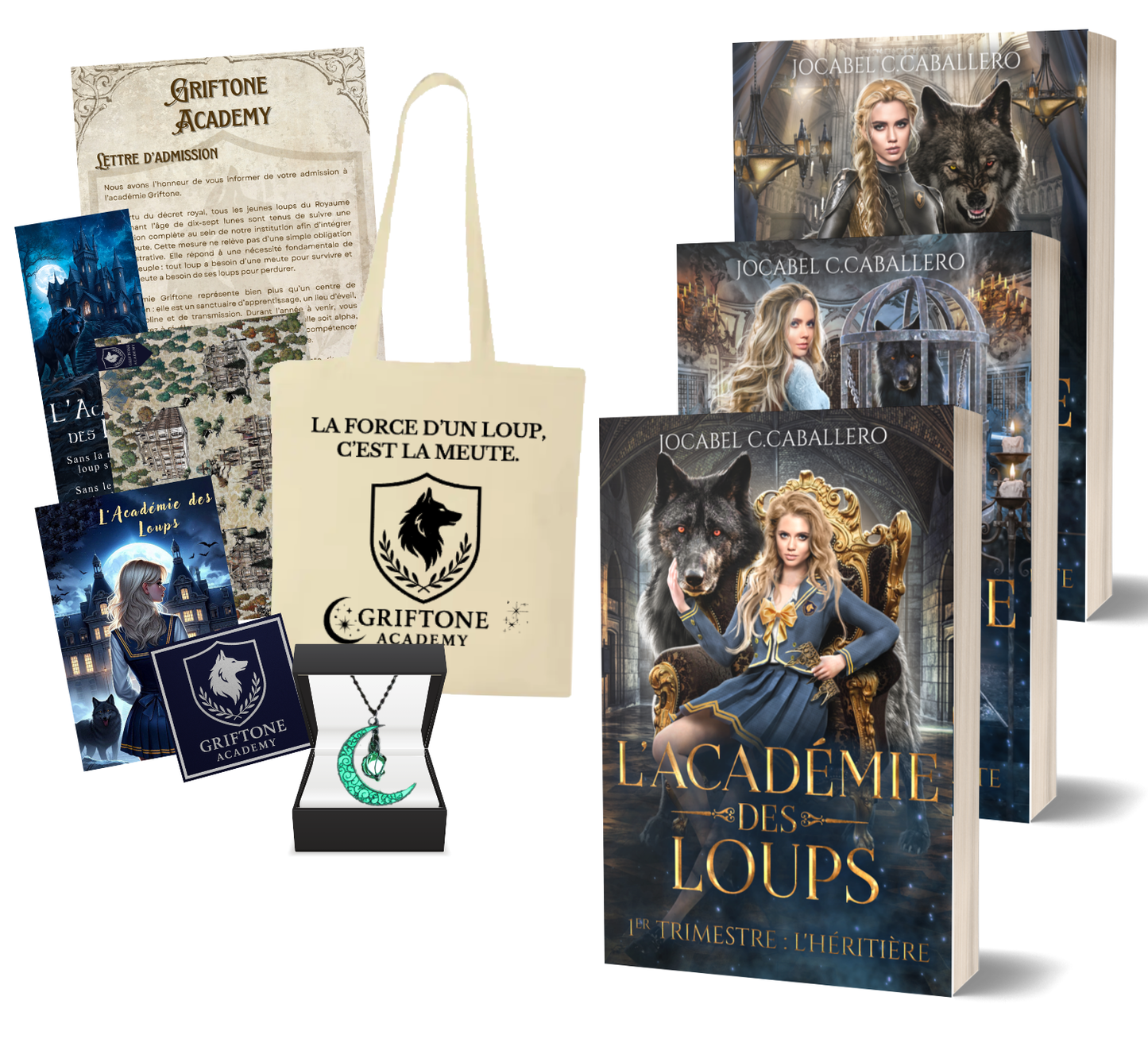 Box exclusive Saga - L'Académie des Loups (Broché)