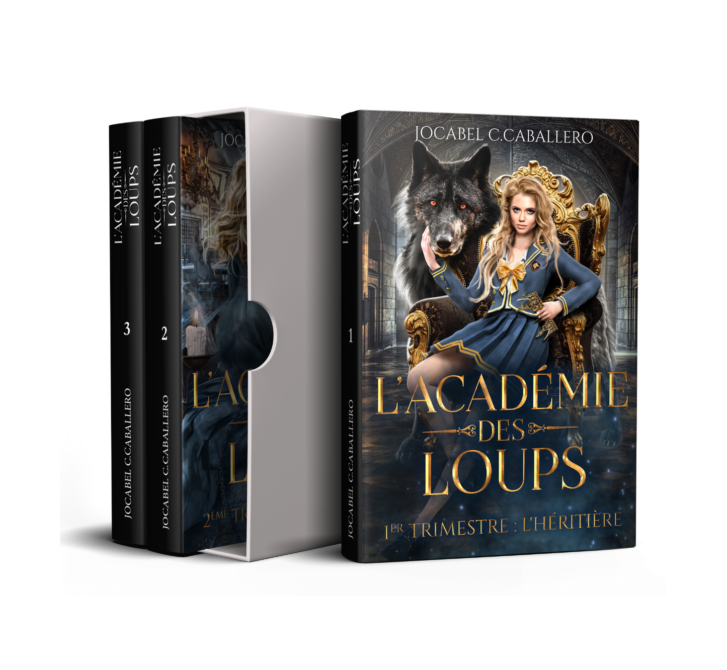 Box L'Académie des Loups